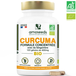 Curcuma Bio, Formule Concentrée avec Gingembre Bio | 120 gélules
