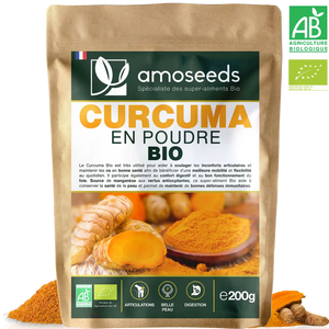 Curcuma en poudre Bio 200g