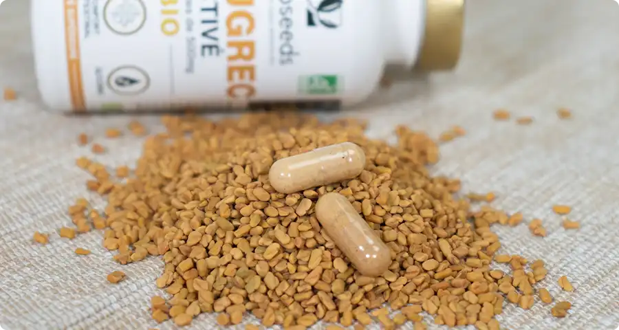 Conseils d'utilisation