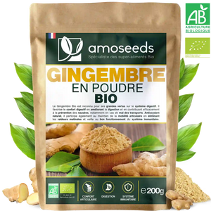 Gingembre en poudre Bio