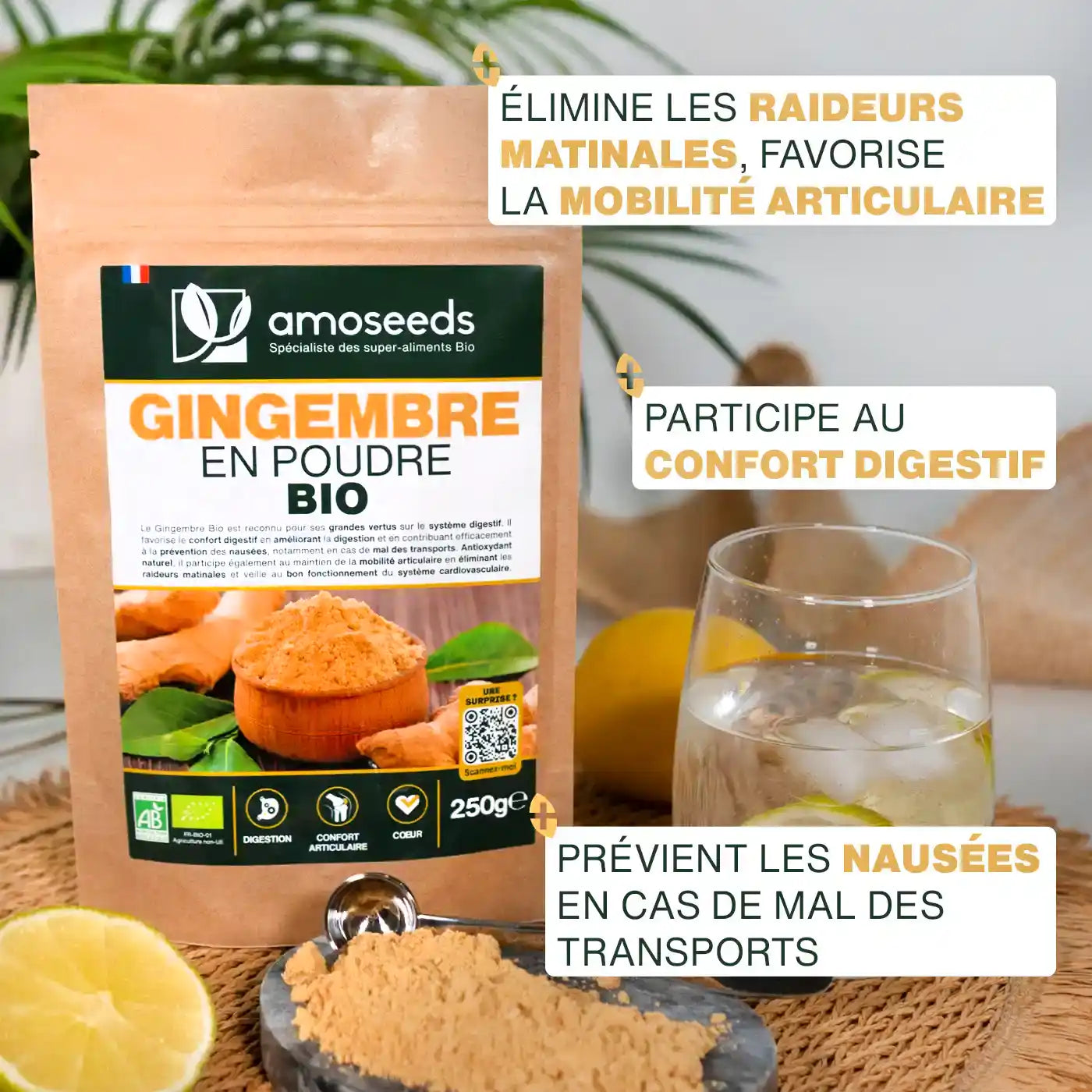 Bienfaits
 Gingembre en poudre Bio - amoseeds specialiste des super aliments bio