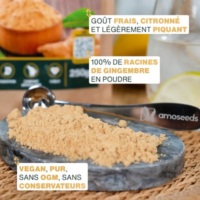 Qualite Gingembre en poudre Bio - amoseeds specialiste des super aliments bio
