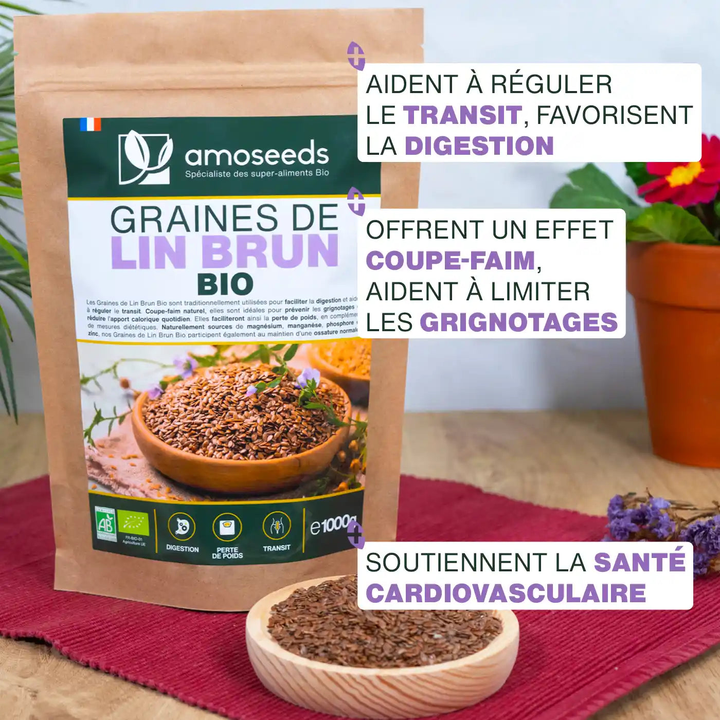 Bienfaits Graines de Lin Brun Bio - amoseeds specialiste des super aliments bio