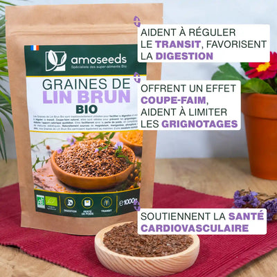 Bienfaits Graines de Lin Brun Bio - amoseeds specialiste des super aliments bio