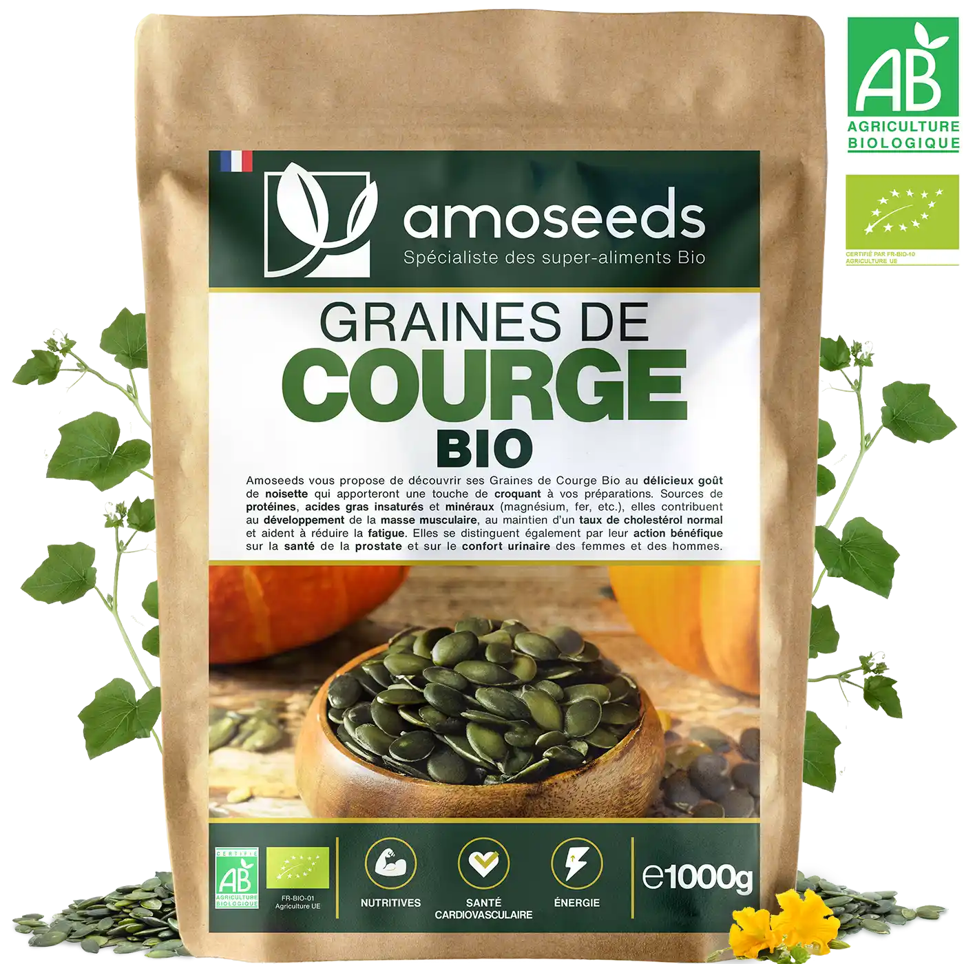 Graines De Courge Cou Tors - Sachet 3g, Légume Ancien, Graines Non Traitées Et Reproductibles, Par Les Graines Bocquet