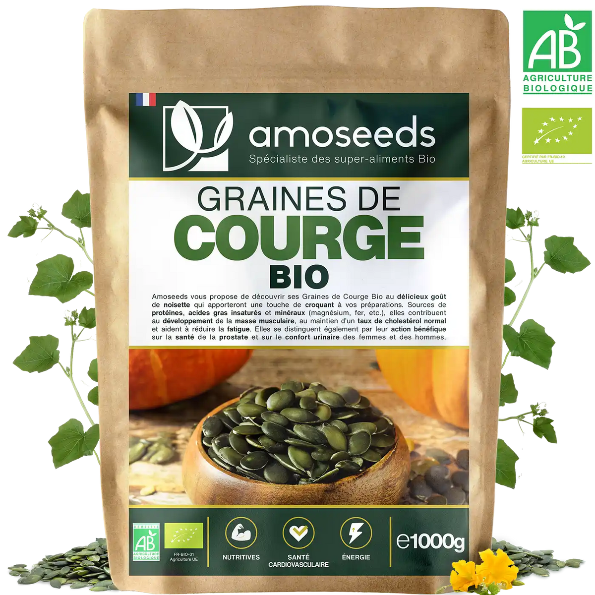 Graines de courge Bio amoseeds specialiste des super aliments Bio