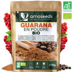 Guarana en Poudre Bio 70g