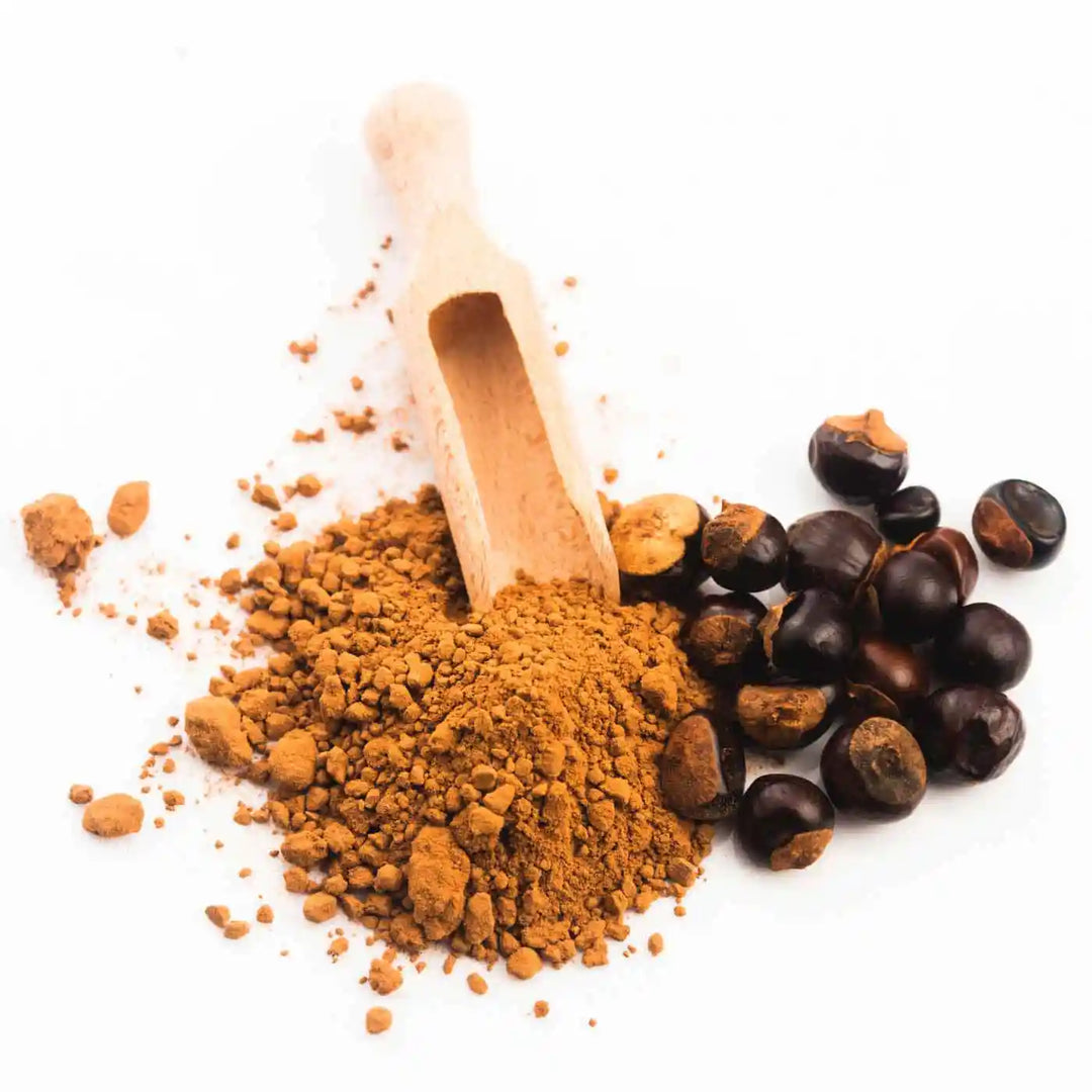 Guarana En Poudre Bio Samskara - Pur Et Naturel - Énergie Et Concentration - 100 G - Alternative Café Brésilien