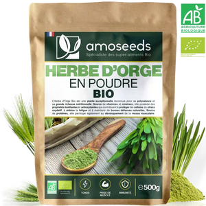 Herbe d'Orge en Poudre Bio 500g