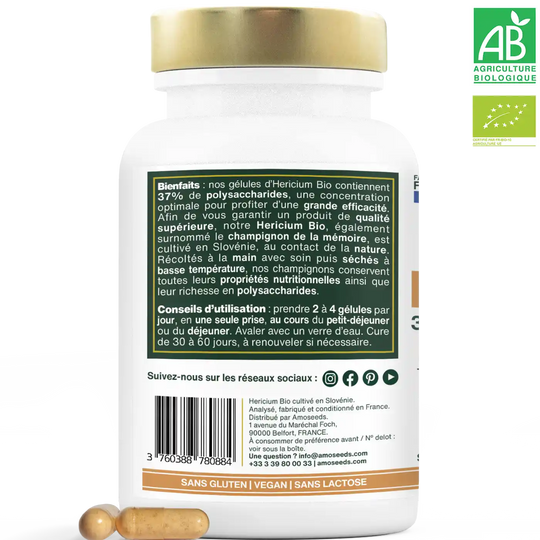 utilisation lion's mane