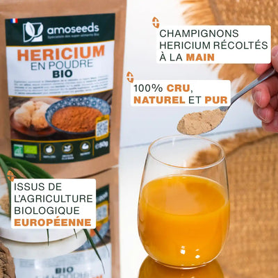 Hericium Poudre Bio - amoseeds specialiste des super aliments bio