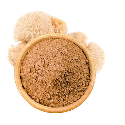 Hericium Poudre Bio - amoseeds specialiste des super aliments bio