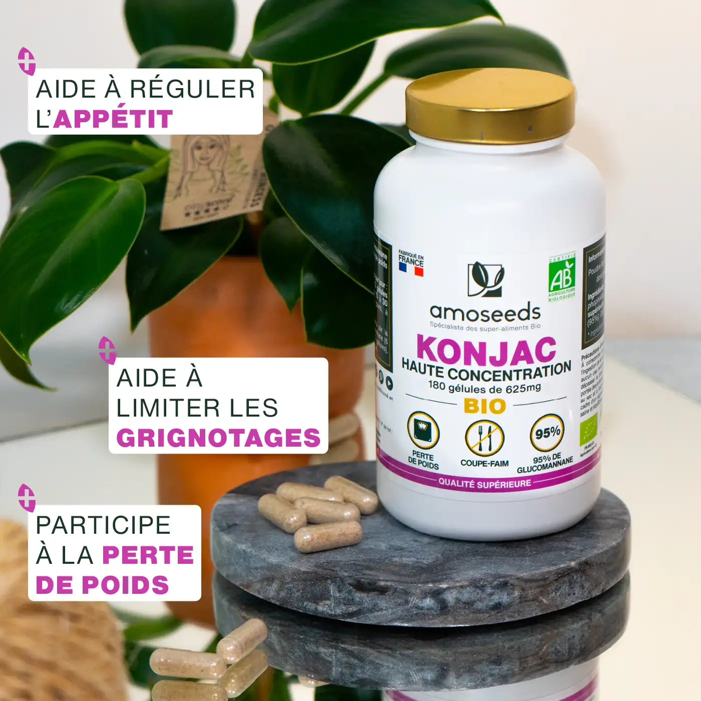 Bienfaits Konjac Bio - amoseeds specialiste des super aliments bio