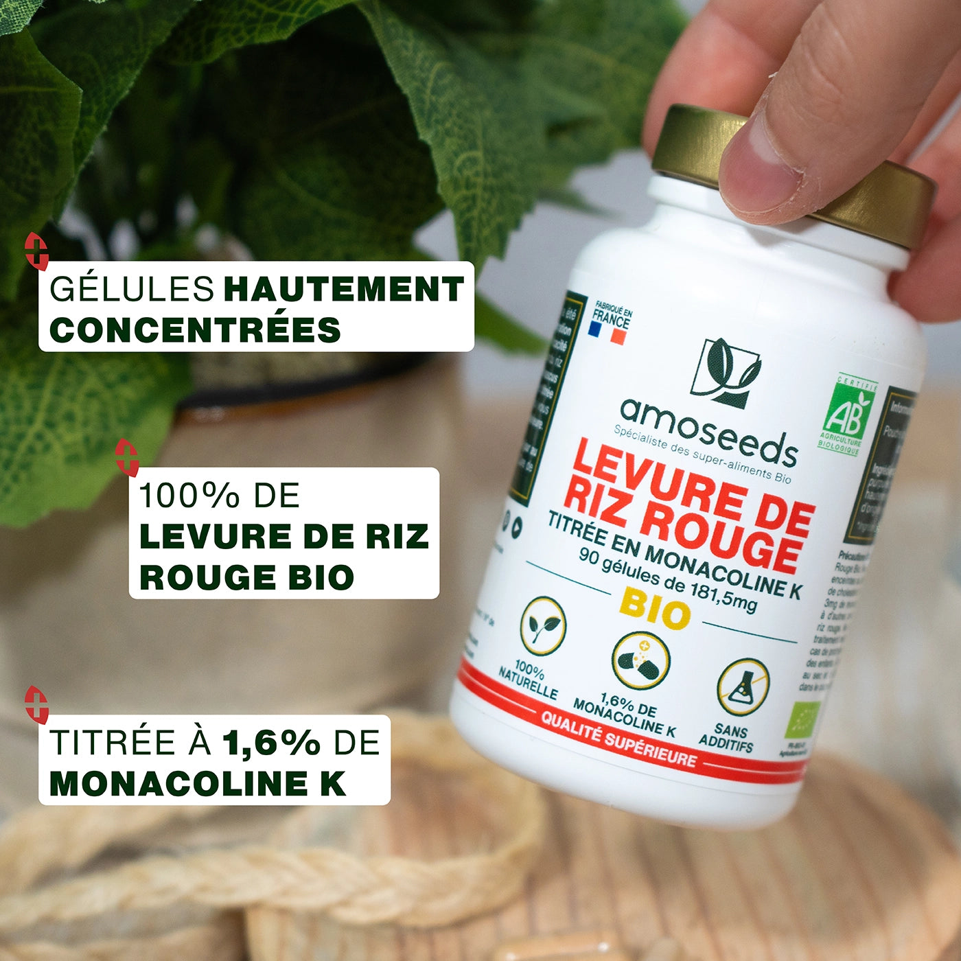 Levure de Riz Rouge Bio | 90 gélules