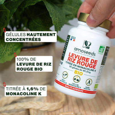 Levure de Riz Rouge Bio | 90 gélules