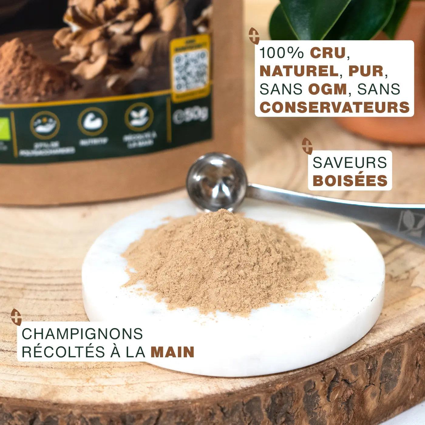 Qualite Maitake 50g Bio - amoseeds specialiste des super aliments bio