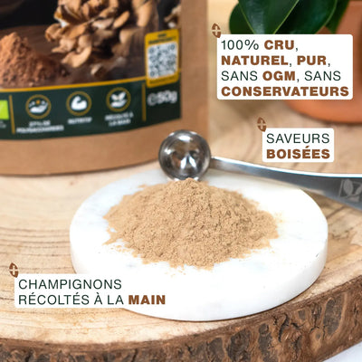 Qualite Maitake 50g Bio - amoseeds specialiste des super aliments bio
