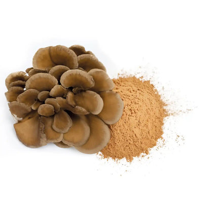  Maitake poudre bio 50G amoseeds specialiste super aliments bio