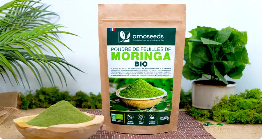 Les bienfaits du Moringa Bio