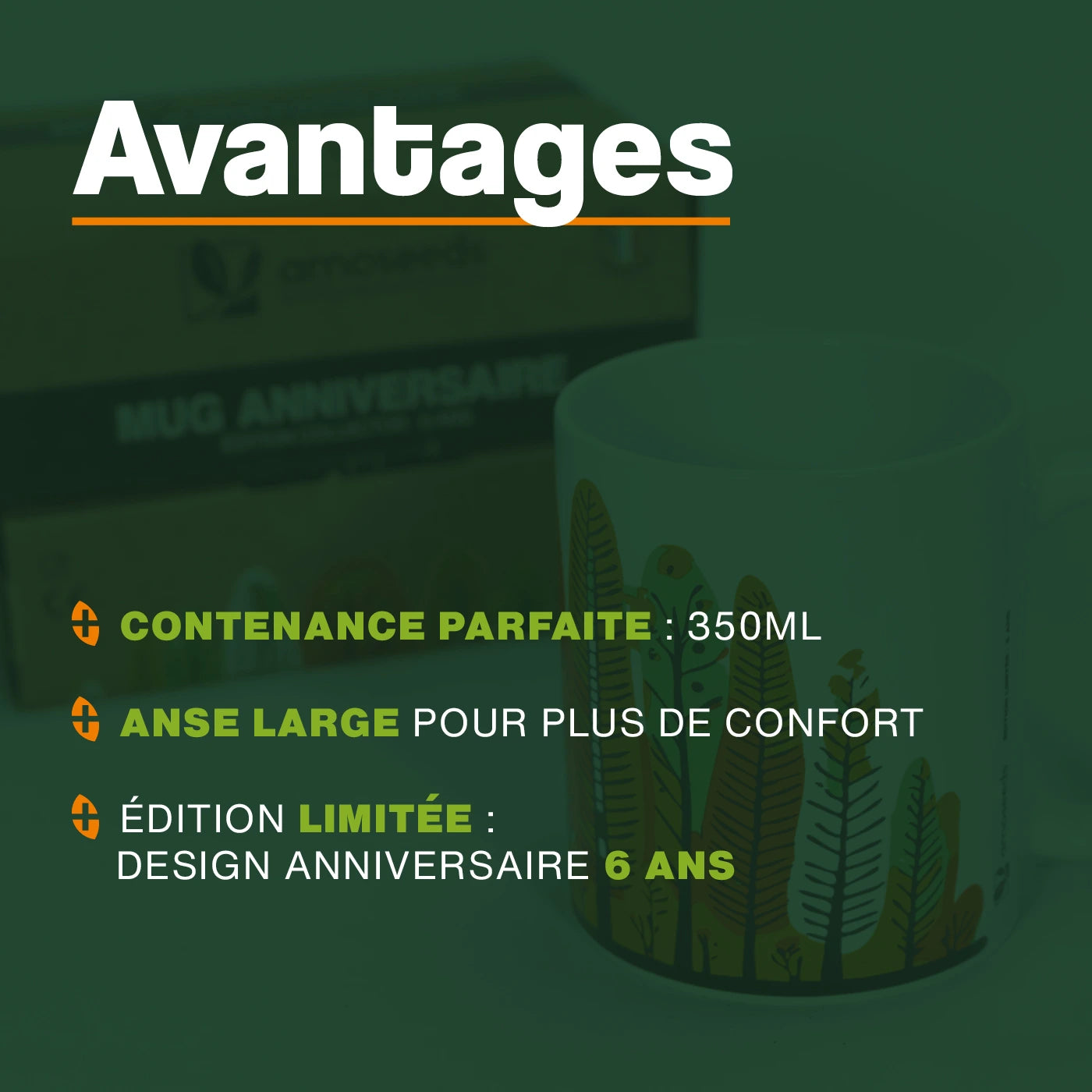 Mug anniversaire 6 ans Amoseeds