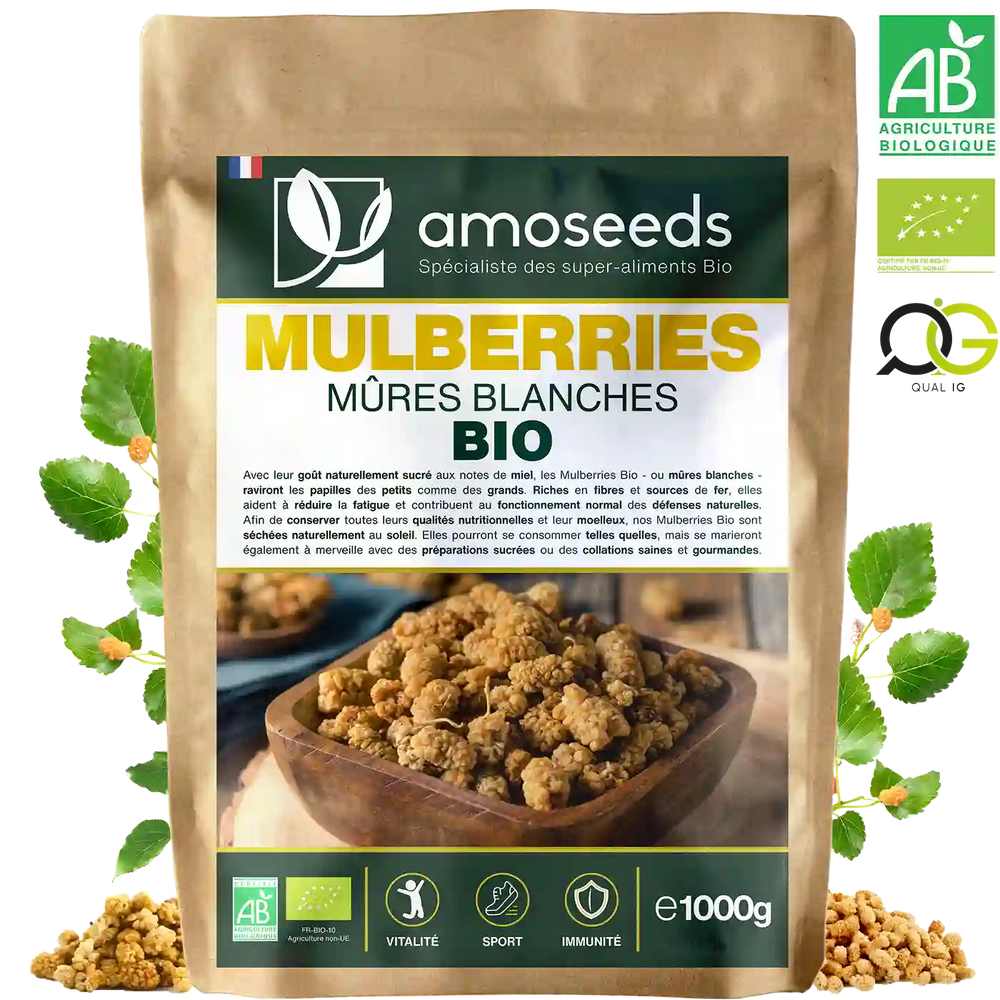 Mulberries Bio - amoseeds specialiste des super aliments bio_recto