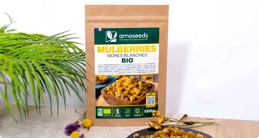 Les bienfaits des Mulberries Bio