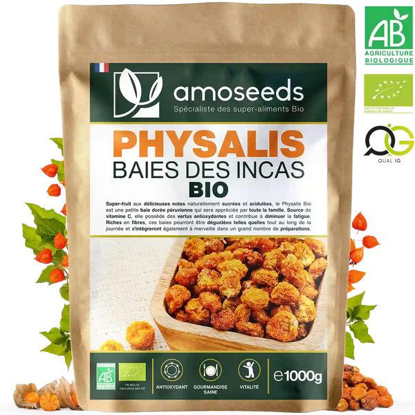 Physalis Bio 1kg - amoseeds specialiste des super aliments bio_recto