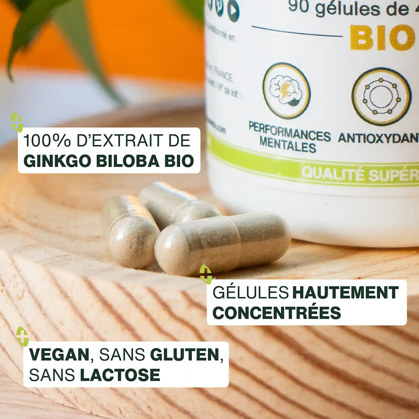 Ginkgo Biloba Bio gelules amoseeds specialiste des super aliments Bio,