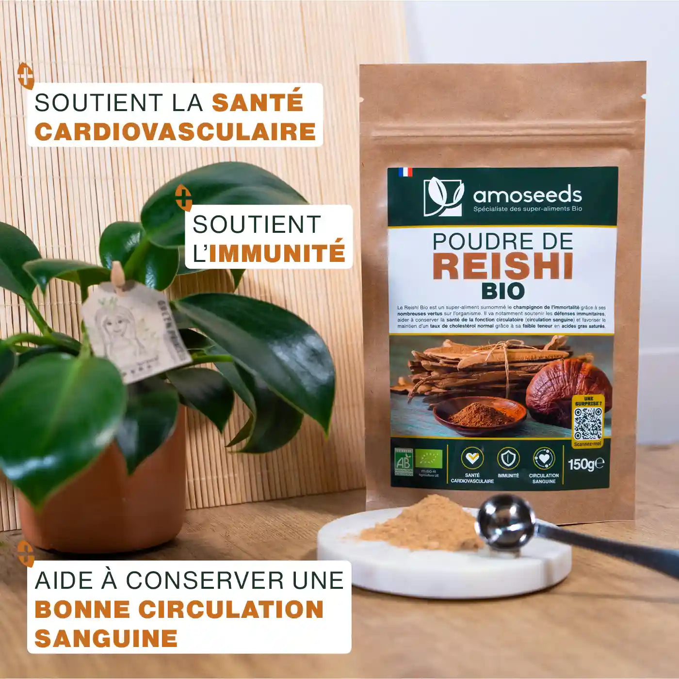 Reishi Bio - amoseeds specialiste des super aliments bio
