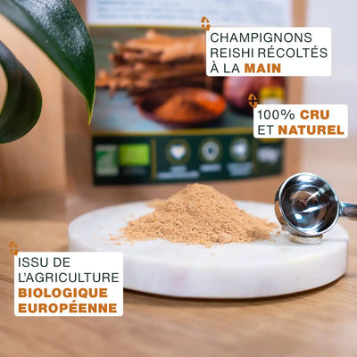 Reishi Bio - amoseeds specialiste des super aliments bio