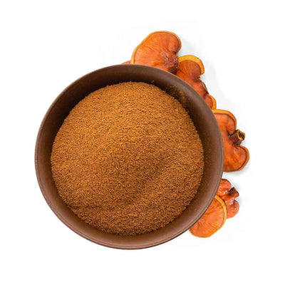 Reishi Bio - amoseeds specialiste des super aliments bio