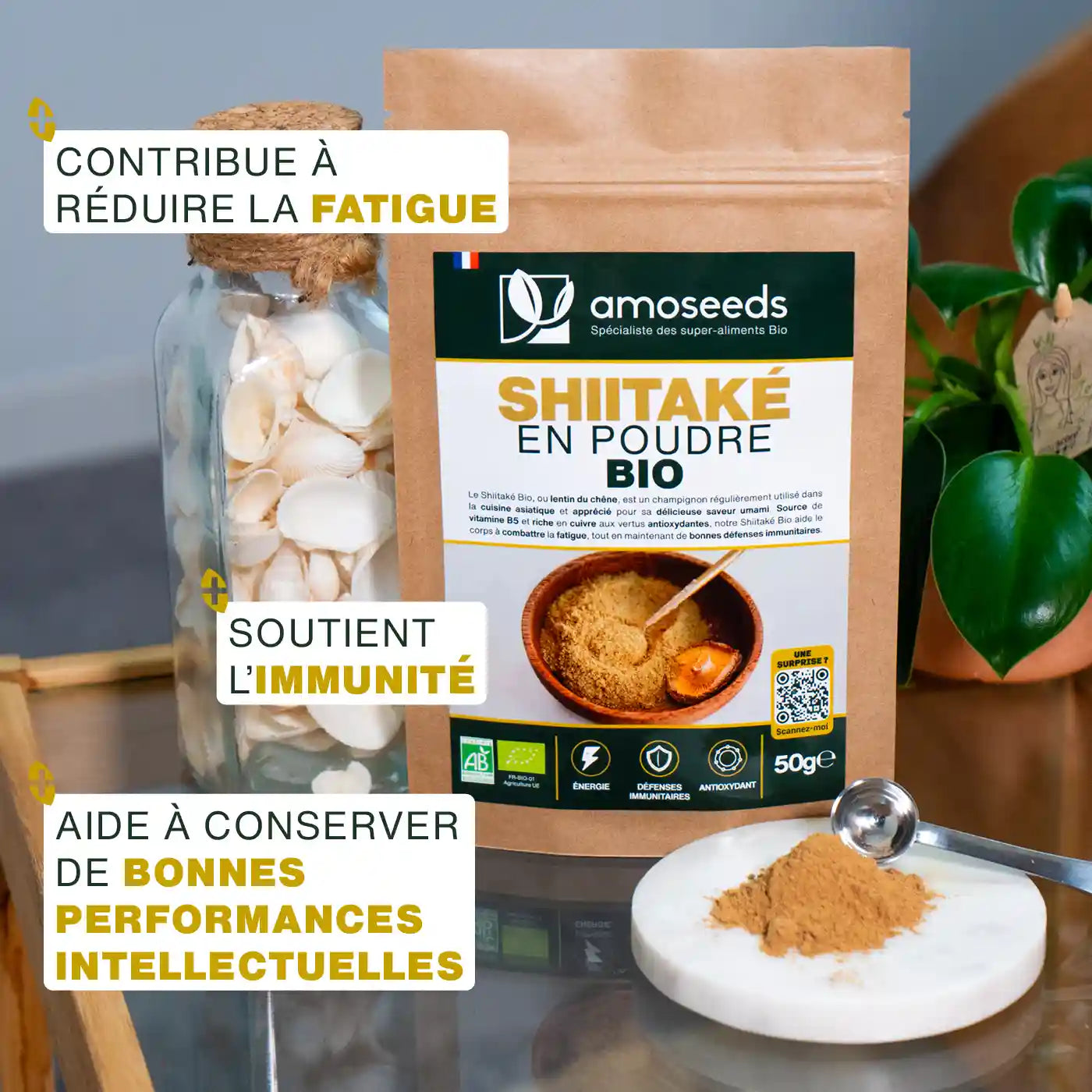 Shiitake Bio - amoseeds specialiste des super aliments bio