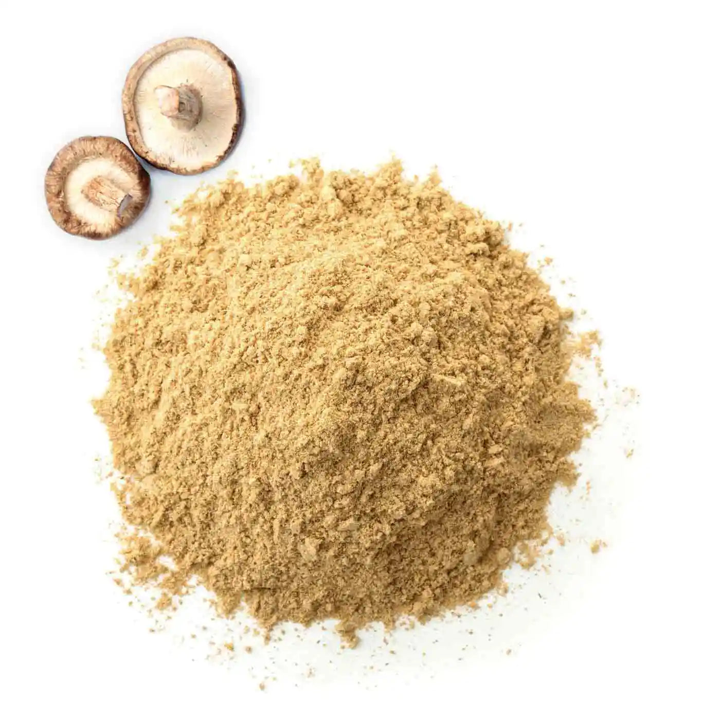 Shiitake Bio - amoseeds specialiste des super aliments bio