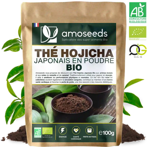 Thé Hojicha Japonais en Poudre Bio 100g