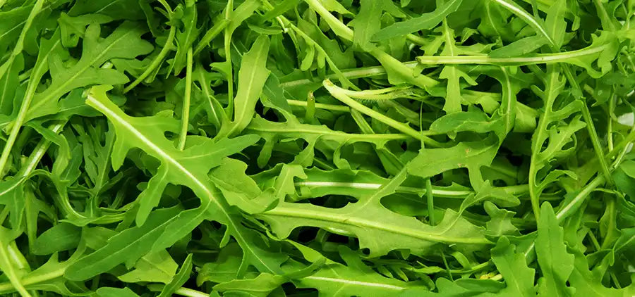 Roquette Bio