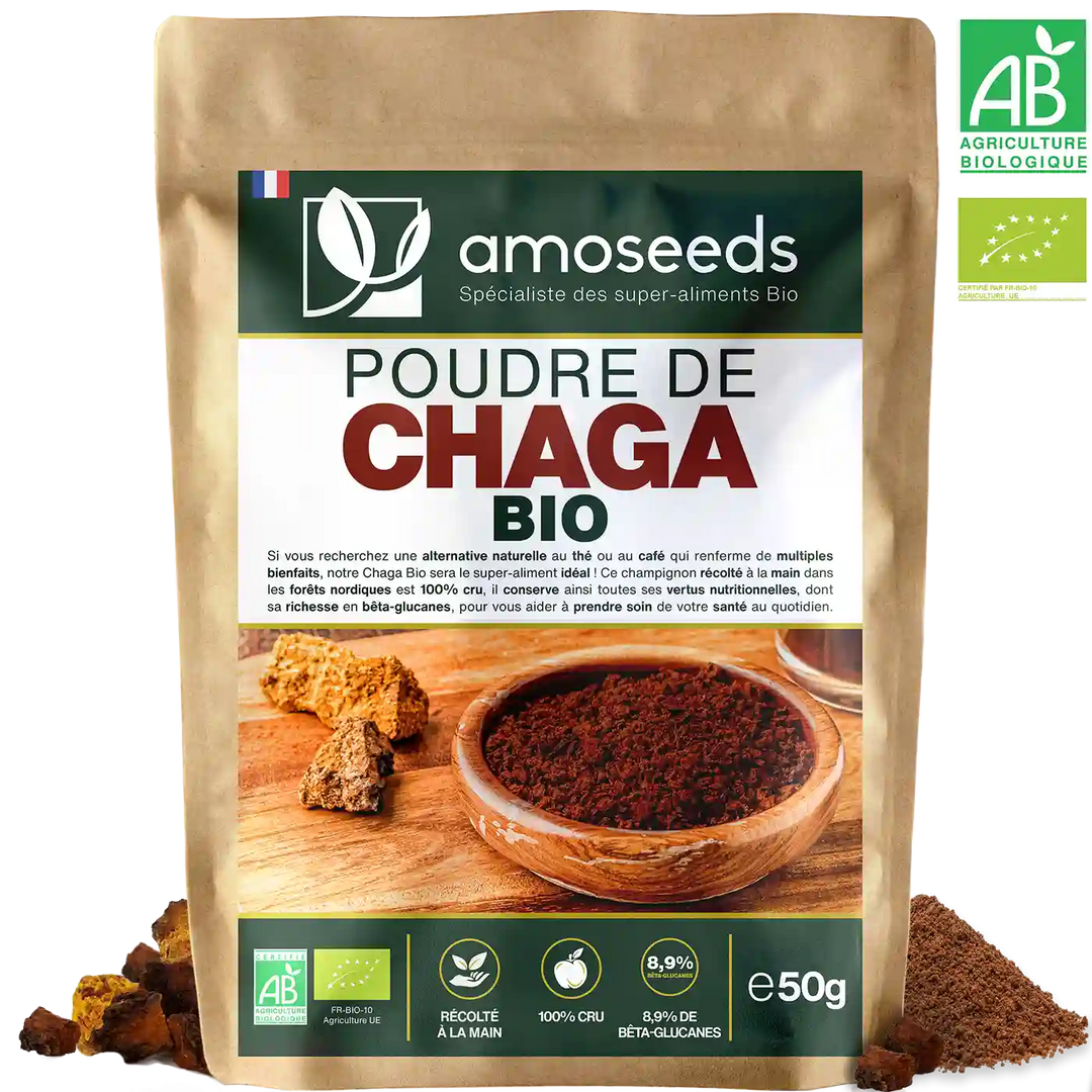 Poudre de Chaga Bio 50G amoseeds specialiste des super aliments Bio