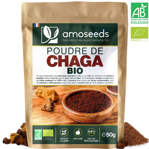 Chaga en poudre Bio