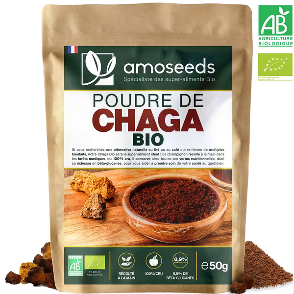 Poudre de Chaga Bio 50G amoseeds specialiste des super aliments Bio