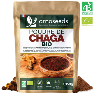 Poudre de Chaga Bio 150g