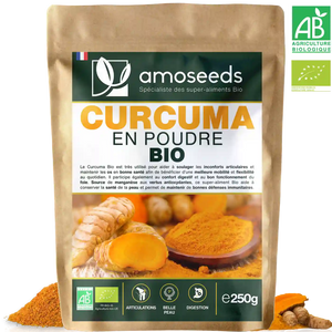 Curcuma en Poudre Bio 250g