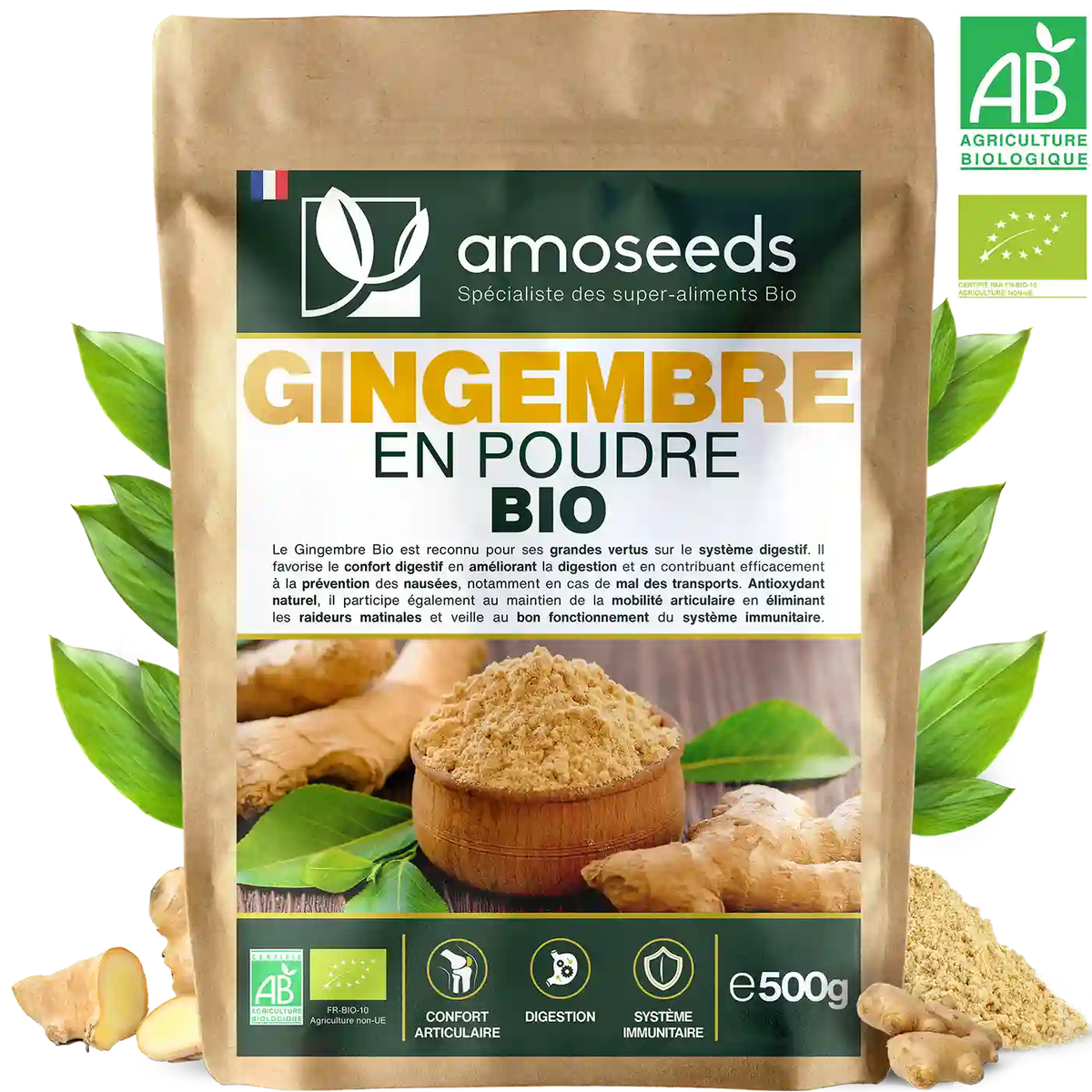 Gingembre en Poudre Bio amoseeds specialiste des super aliments Bio
