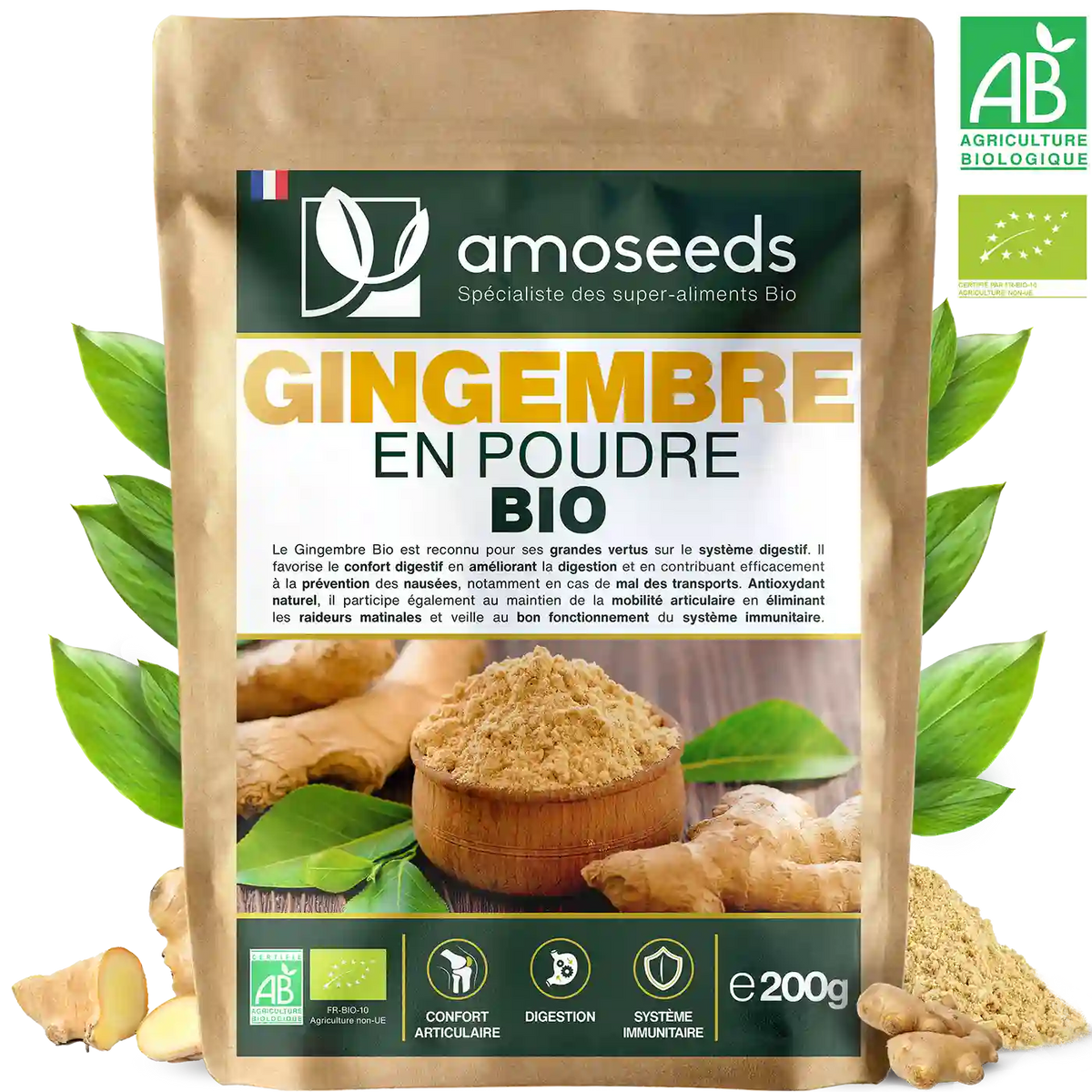 Gingembre en Poudre Bio amoseeds specialiste des super aliments Bio