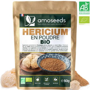 Hericium en poudre Bio