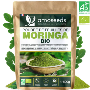 Poudre de Moringa Bio 500g