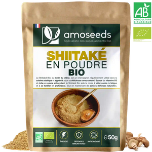 Shiitaké en poudre Bio